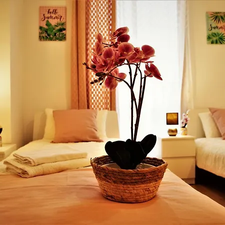Apartment Penthouse Duplex In A 4 Floors Spanish House -8 Min To Center By Metro *
